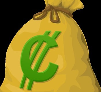 money, bag, cash
