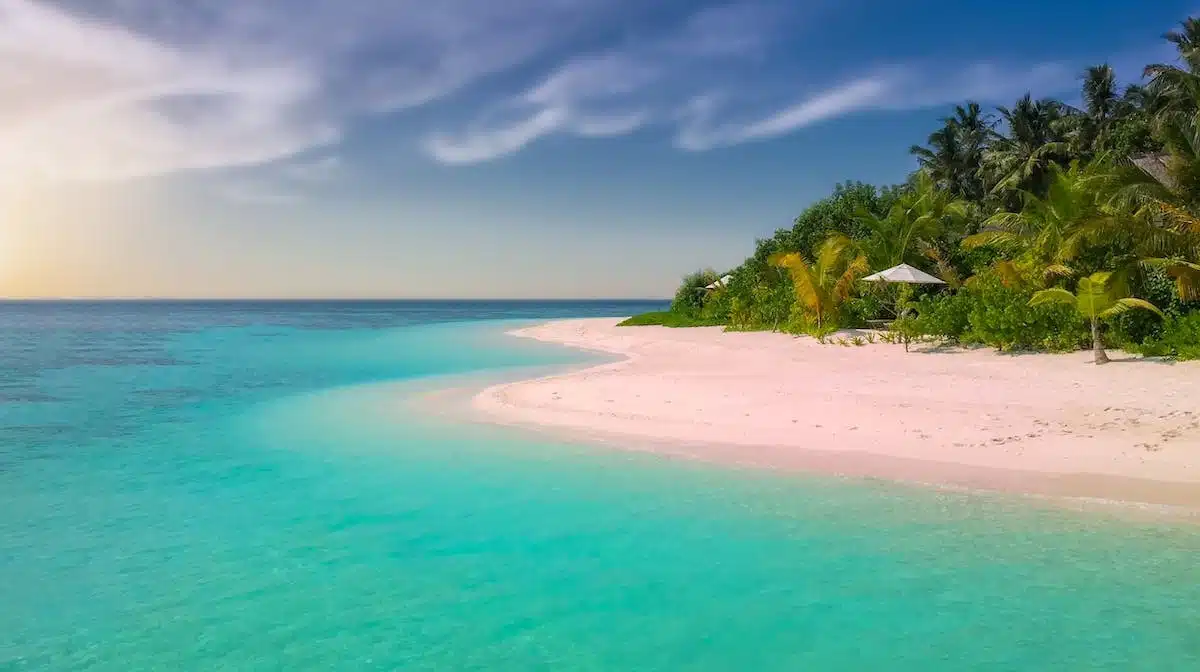 plage tropicale